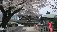 高野山東京別院の{uncategorized: "未分類", other: "その他", undefined: "問題あり", building: "その他建物", grave: "お墓", sacred_gate: "鳥居", guardian: "狛犬", statue: "像", buddha: "仏像", history: "歴史", nature: "自然", garden: "庭園", animal: "動物", pagoda: "塔", temizu: "手水舎", mountain_gate: "山門・神門", sanctuary: "本殿・本堂", subordinate: "末社・摂社", art: "芸術", scenery: "景色", jizo: "地蔵", ema: "絵馬", goshuin: "御朱印", omikuji: "おみくじ", items: "授与品その他", amulet: "お守り", goshuincho: "御朱印帳", eats: "食事", festival: "お祭り", votive_dance: "神楽", shichigosan: "七五三参", wedding: "結婚式", experience: "体験その他", initially: "初詣", around: "周辺", anti_infection: "感染症対策"}