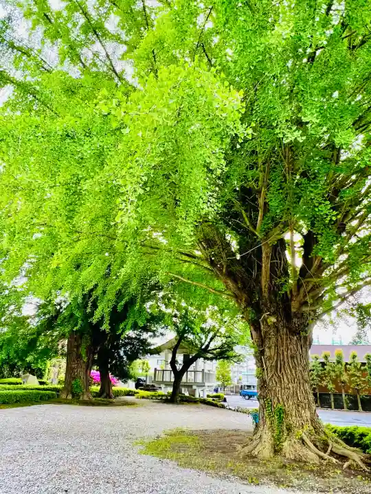 星谷寺の{uncategorized: "未分類", other: "その他", undefined: "問題あり", building: "その他建物", grave: "お墓", sacred_gate: "鳥居", guardian: "狛犬", statue: "像", buddha: "仏像", history: "歴史", nature: "自然", garden: "庭園", animal: "動物", pagoda: "塔", temizu: "手水舎", mountain_gate: "山門・神門", sanctuary: "本殿・本堂", subordinate: "末社・摂社", art: "芸術", scenery: "景色", jizo: "地蔵", ema: "絵馬", goshuin: "御朱印", omikuji: "おみくじ", items: "授与品その他", amulet: "お守り", goshuincho: "御朱印帳", eats: "食事", festival: "お祭り", votive_dance: "神楽", shichigosan: "七五三参", wedding: "結婚式", experience: "体験その他", initially: "初詣", around: "周辺", anti_infection: "感染症対策"}