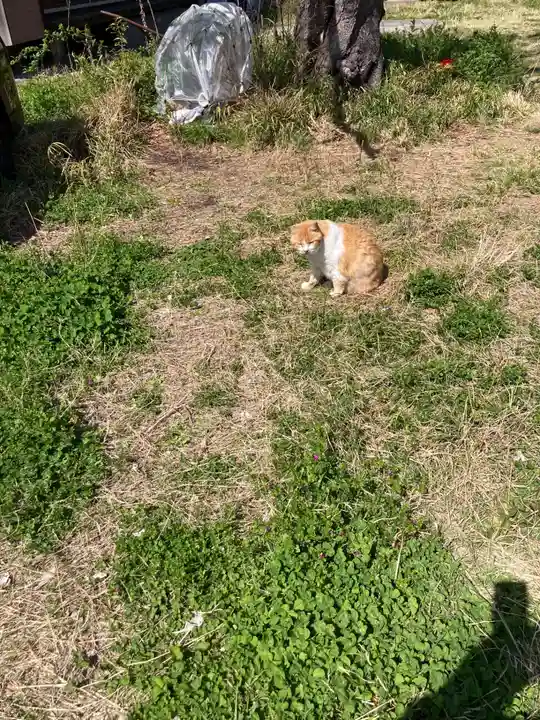光明院(神奈川県)