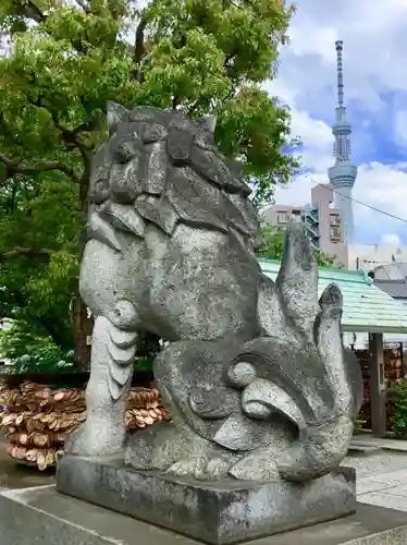 今戸神社の狛犬