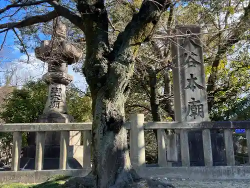 大谷本廟の自然