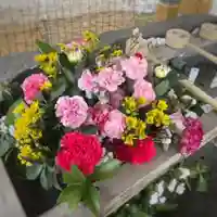 彌彦神社 (伊夜日子神社)の手水舎