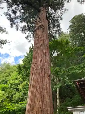 厳島神社（嚴島神社）(福島県)