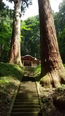 吉田八幡神社の自然