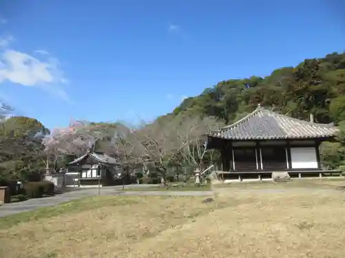 根来寺(和歌山県)