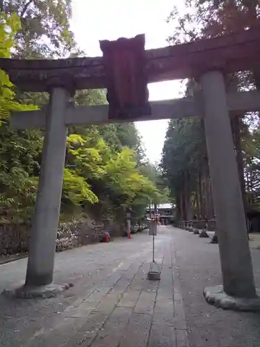 日枝神社の鳥居