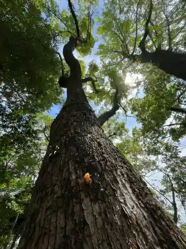 若宮神明社(愛知県)