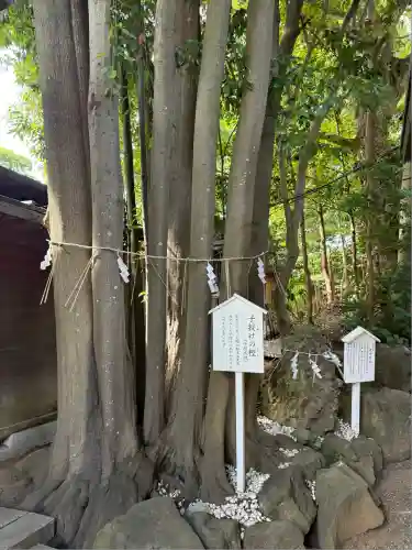 検見川神社(千葉県)