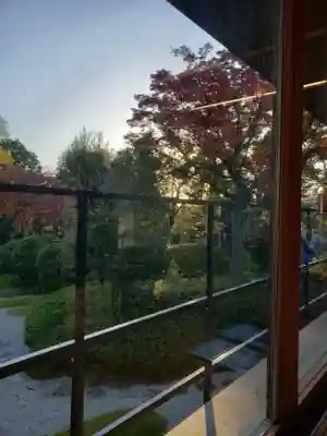 源光寺(回向院市川別院)の庭園