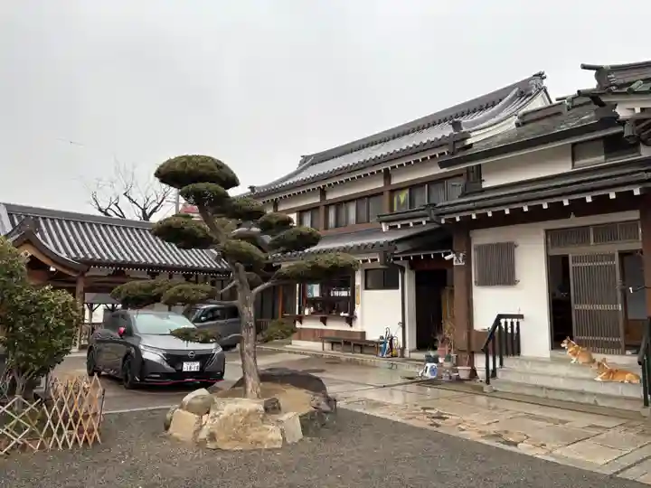 京善寺(大阪府)