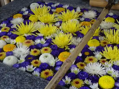 高円寺氷川神社の手水