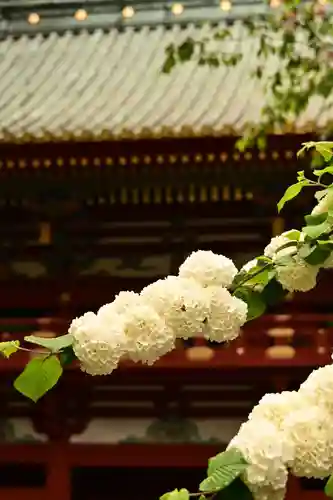 久能山東照宮(静岡県)