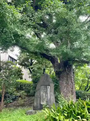 駒止稲荷神社(東京都)