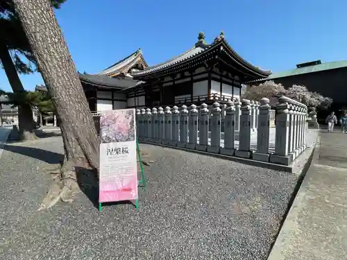 善通寺(香川県)