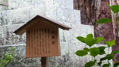 長谷寺(奈良県)