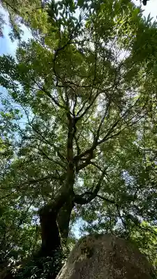 大聖院弥山本堂(広島県)