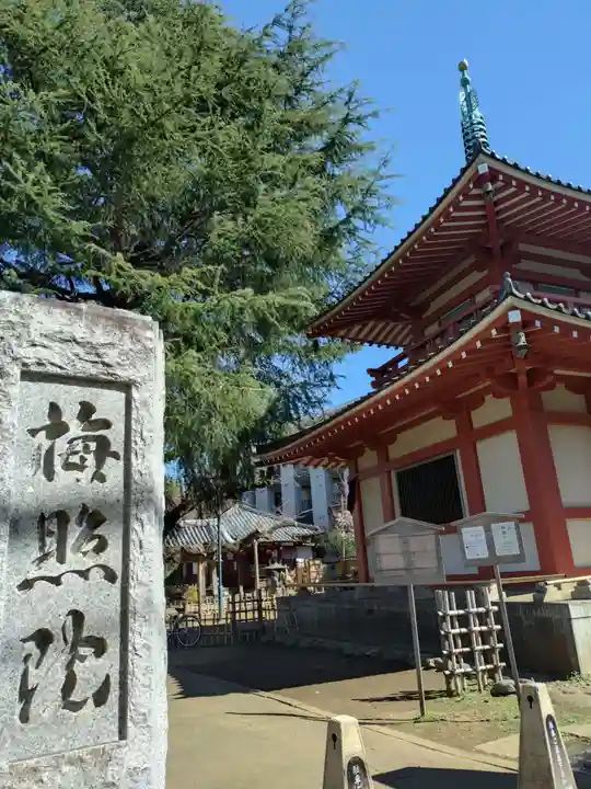 新井薬師(梅照院)(東京都)