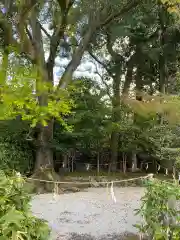 八坂神社(祇園さん)の自然