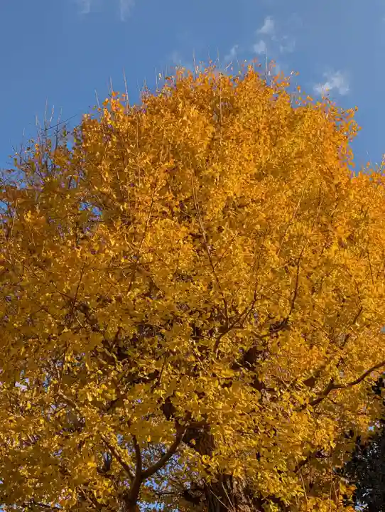 潮田神社(神奈川県)