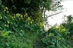 白山媛神社(新潟県)