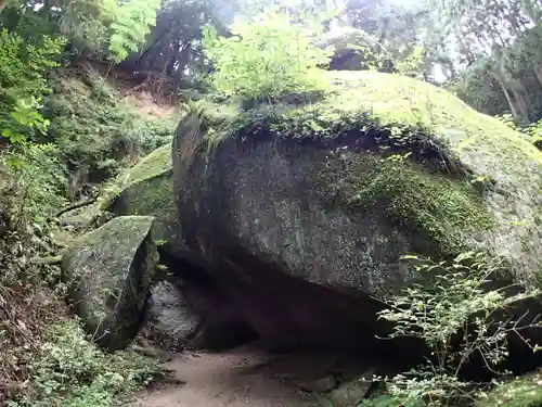 名草厳島神社の自然