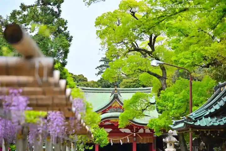越ヶ谷久伊豆神社(埼玉県)