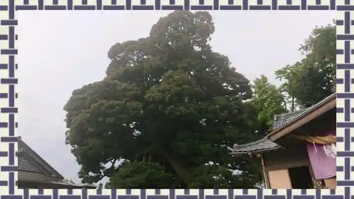 九重神社(埼玉県)