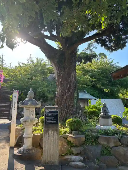 長谷寺の{uncategorized: "未分類", other: "その他", undefined: "問題あり", building: "その他建物", grave: "お墓", sacred_gate: "鳥居", guardian: "狛犬", statue: "像", buddha: "仏像", history: "歴史", nature: "自然", garden: "庭園", animal: "動物", pagoda: "塔", temizu: "手水舎", mountain_gate: "山門・神門", sanctuary: "本殿・本堂", subordinate: "末社・摂社", art: "芸術", scenery: "景色", jizo: "地蔵", ema: "絵馬", goshuin: "御朱印", omikuji: "おみくじ", items: "授与品その他", amulet: "お守り", goshuincho: "御朱印帳", eats: "食事", festival: "お祭り", votive_dance: "神楽", shichigosan: "七五三参", wedding: "結婚式", experience: "体験その他", initially: "初詣", around: "周辺", anti_infection: "感染症対策"}