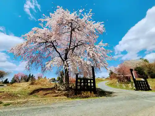 長徳寺の山門