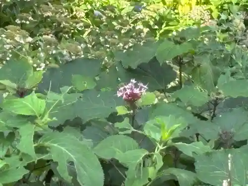 瑞雲院(山形県)