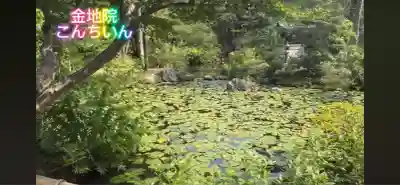 金地院(京都府)