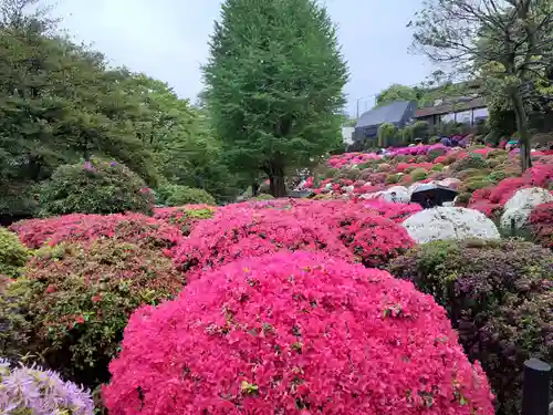 根津神社の自然
