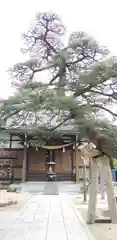 瑞光寺の本殿