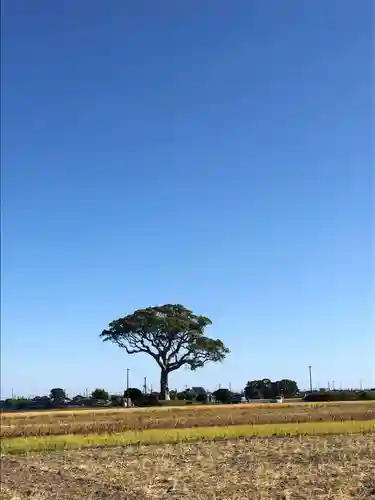 大木神社跡地の景色