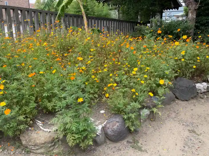 東京羽田 穴守稲荷神社の自然