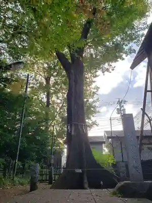 熊野宮(東京都)