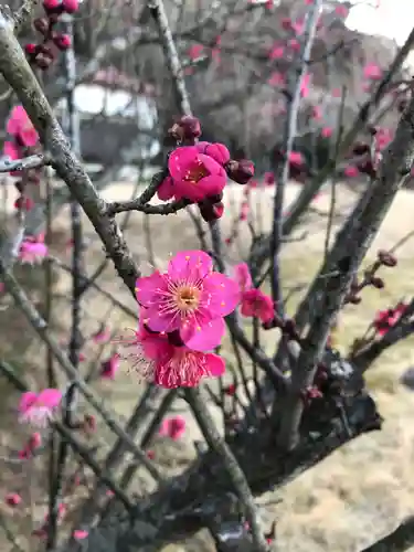 大生郷天満宮の自然