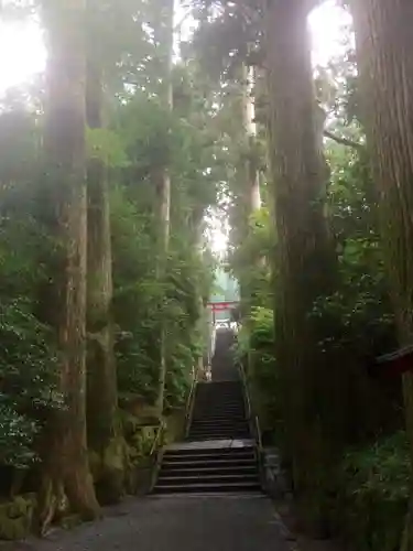 箱根神社のその他建物