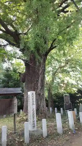 芝東照宮の自然