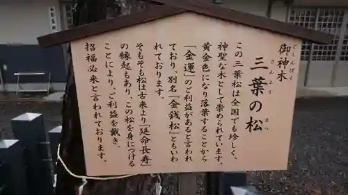 別小江神社の歴史