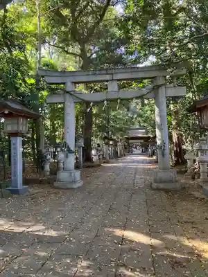 駒木諏訪神社(千葉県)