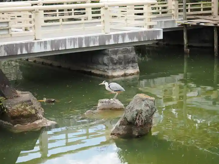 亀戸天神社(東京都)