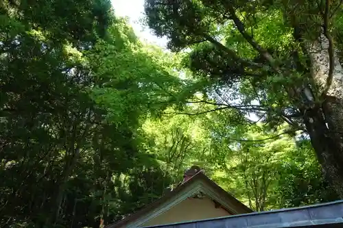 佐伎治神社の自然