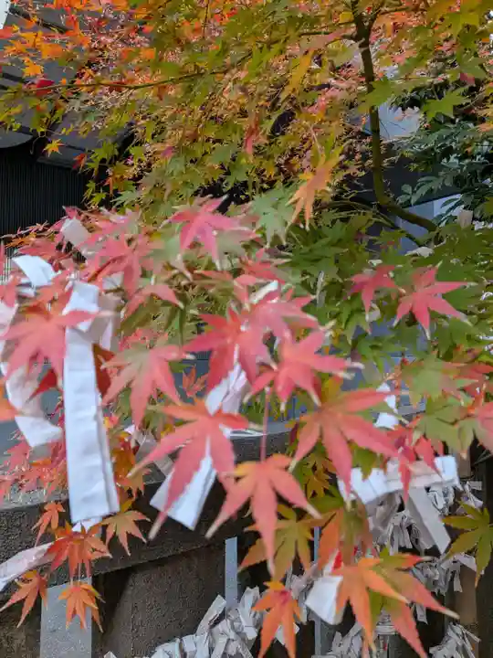 朝日神社(東京都)