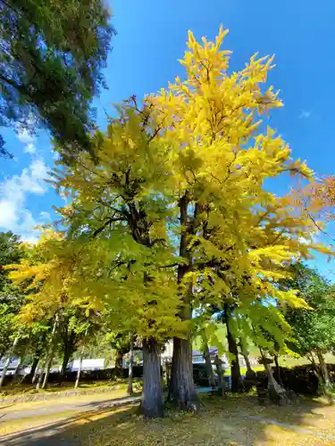 追手神社の自然