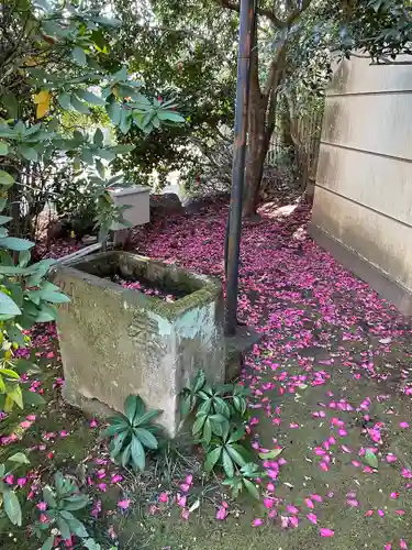 高円寺(東京都)
