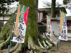 八枝神社の自然