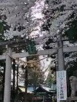 駒形神社の{uncategorized: "未分類", other: "その他", undefined: "問題あり", building: "その他建物", grave: "お墓", sacred_gate: "鳥居", guardian: "狛犬", statue: "像", buddha: "仏像", history: "歴史", nature: "自然", garden: "庭園", animal: "動物", pagoda: "塔", temizu: "手水舎", mountain_gate: "山門・神門", sanctuary: "本殿・本堂", subordinate: "末社・摂社", art: "芸術", scenery: "景色", jizo: "地蔵", ema: "絵馬", goshuin: "御朱印", omikuji: "おみくじ", items: "授与品その他", amulet: "お守り", goshuincho: "御朱印帳", eats: "食事", festival: "お祭り", votive_dance: "神楽", shichigosan: "七五三参", wedding: "結婚式", experience: "体験その他", initially: "初詣", around: "周辺", anti_infection: "感染症対策"}