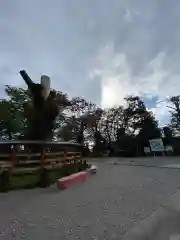 上野総社神社(群馬県)