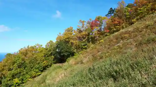 手稲神社奥宮の自然